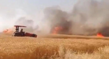 Harran'da 170 dönümlük buğday tarlası alev alev yandı!