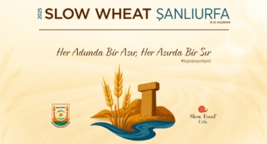 Şanlıurfa Büyükşehir Belediyesi'nden Uluslararası Buğday Festivali