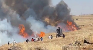 Şanlıurfa'da çıkan tarla yangınında 5 kişi yaralandı