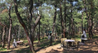 Şanlıurfa'da ormanlık alanlara girişler yasaklandı