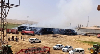 Şanlıurfa'da tonlarca balya saman kül oldu