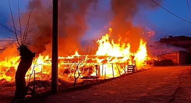 Şanlıurfa'da yanan ahırda 10 büyükbaş hayvan telef oldu