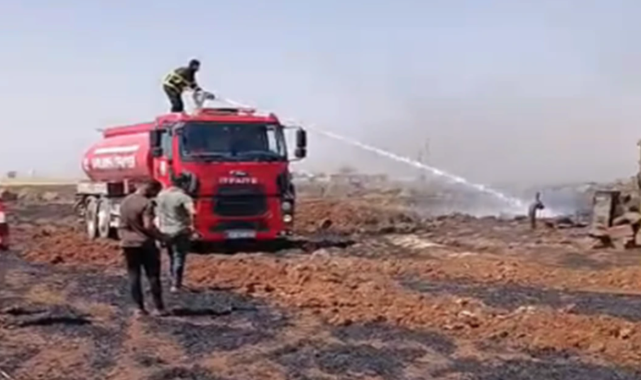 Viranşehir'de buğday ekili tarla küle döndü