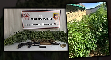 Şanlıurfa'nın 3 ilçesinde uyuşturucu operasyonu