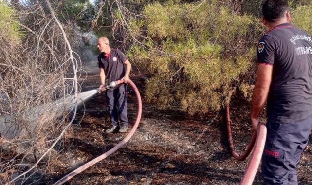 Bozova&#039;da ormanlık alanda yangın