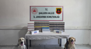 Şanlıurfa'da aramalarda 3 bin paket kaçak sigara ele geçirildi