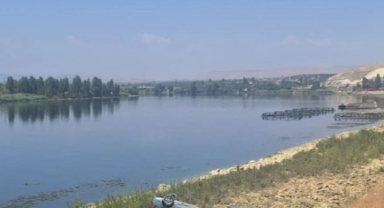 Şanlıurfa'da bir otomobil Fırat Nehri'ne yuvarlandı