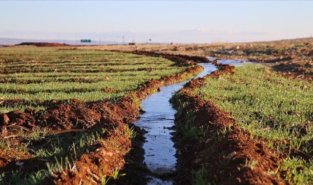 Şanlıurfa'da gençler iklim krizinin farkında, kurumlar yeterince çalışma yapmıyor