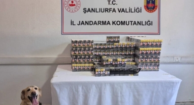 Şanlıurfa'da gümrük kaçağı 2 bin 690 sigara ele geçirildi