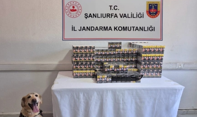 Şanlıurfa&#039;da gümrük kaçağı 2 bin 690 sigara ele geçirildi