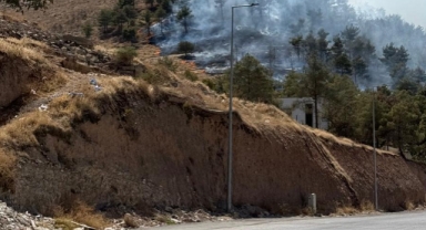 Şanlıurfa'da ormanlık alanda yangın! 17 araç ile yangına müdahale edildi 