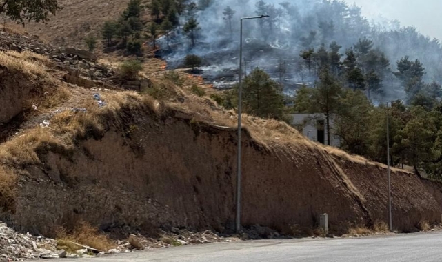Şanlıurfa&#039;da ormanlık alanda yangın! 17 araç ile yangına müdahale edildi
