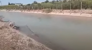 Şanlıurfa'da otomobil sulama kanalına uçtu!