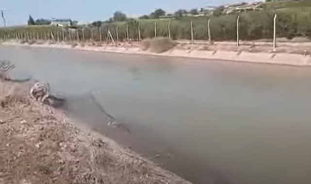 Şanlıurfa&#039;da otomobil sulama kanalına uçtu!