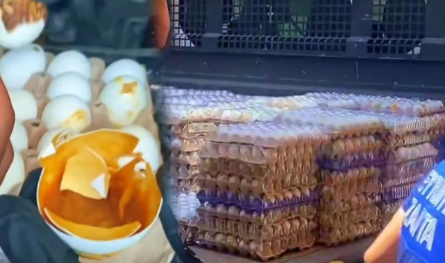Şanlıurfa&#039;da son kullanma tarihi geçmiş 170 koli yumurta ele geçirildi