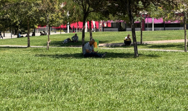 Şanlıurfa’da termometreler 50 dereceyi gösterdi