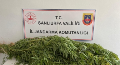 Şanlıurfa'da uyuşturucu operasyonu: 2 gözaltı 