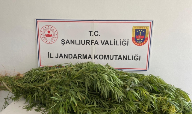 Şanlıurfa&#039;da uyuşturucu operasyonu: 2 gözaltı