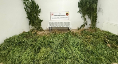Şanlıurfa'da uyuşturucu operasyonu: 3 gözaltı