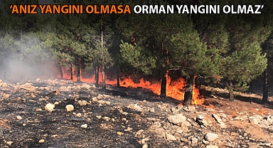 Şanlıurfa'da yanan ormanlık alan miktarı belli oldu