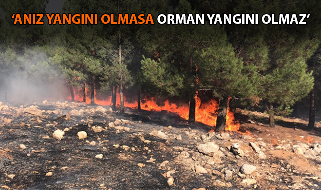 Şanlıurfa&#039;da yanan ormanlık alan miktarı belli oldu
