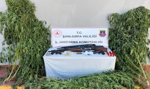 Şanlıurfa&#039;nın 5 ilçesinde operasyon