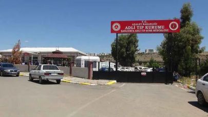 Şanlıurfa'da devrilen otomobilin sürücüsü öldü
