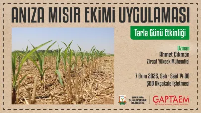 Anıza mısır ekimi, Şanlıurfa’da tarla gününde tanıtılacak