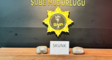 Şanlıurfa'da 3 kilo 450 gram skunk ele geçirildi