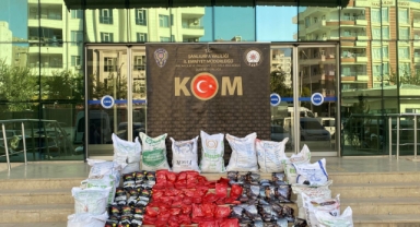 Şanlıurfa'da kaçakçılık operasyonunda 14 şüpheli yakalandı