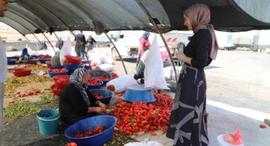 Şanlıurfa'da mevsimlik tarım işçilerine mobil sağlık hizmeti sunuluyor