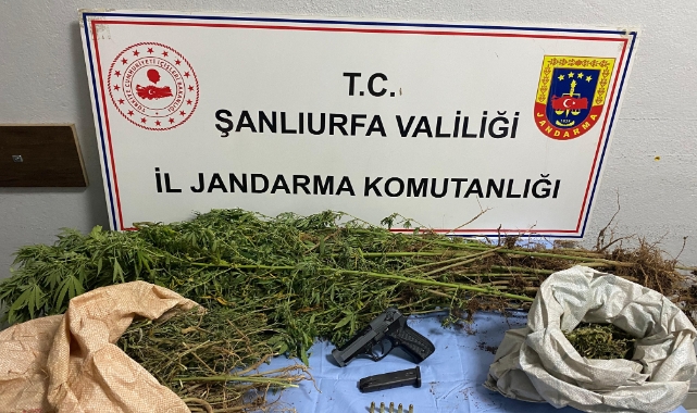 Şanlıurfa&#039;da uyuşturucu operasyonu: 8 şüpheli yakalandı