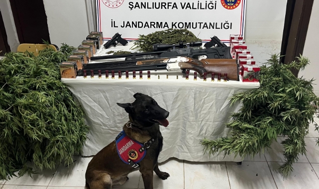 Şanlıurfa&#039;da uyuşturucu ve silah kaçakçılığı operasyonu: 3 şüpheli yakalandı