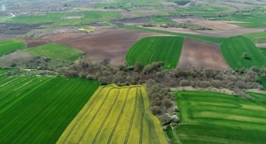 TOKİ Şanlıurfa'da arsa satıyor
