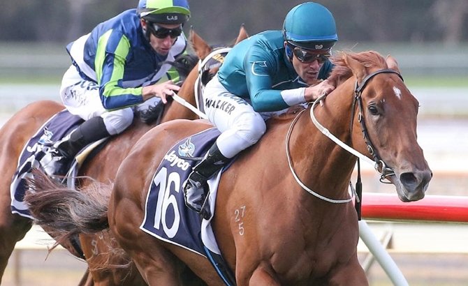 Mick Price&#039;ın Mystery Love sevgisi, Bendigo Guineas&#039;taki mükemmel galibiyetten sonra büyüdü