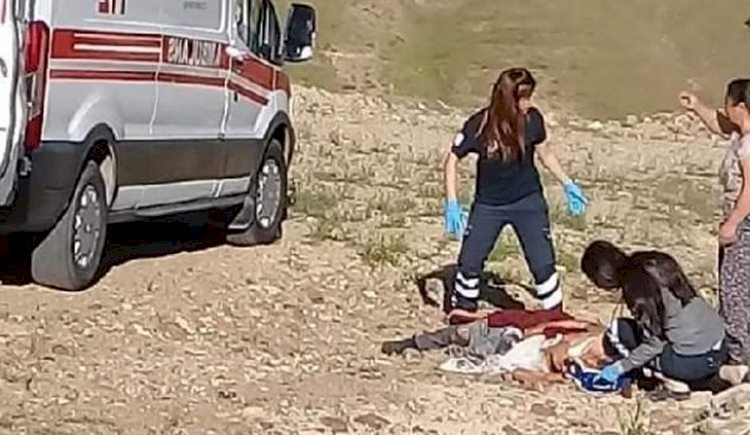 Sokak Köpeği Dehşeti; Elazığ'da Sokak Köpekleri Bir kadını Öldürdü