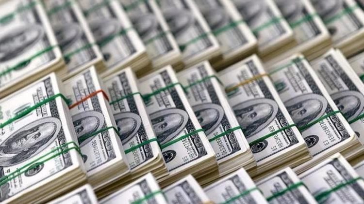 Merkez Bankasından Dövize Müdahale 200 Baz Puan Arttırıldı
