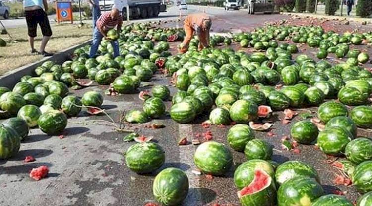 Vatandaş Kaza Yapan Şoföre Yardım Etmek Yerine Karpuz Topladı