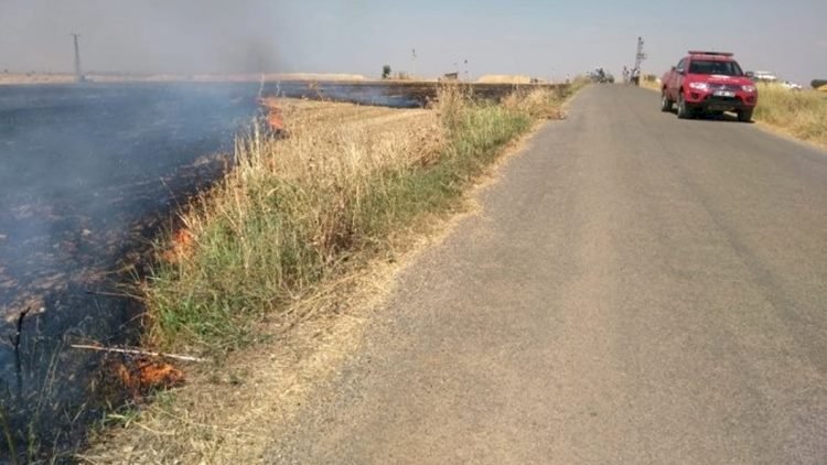 Ceylanpınar'da Anız Yakan Köylü Komşusunun Buğday Tarlasını Yaktı