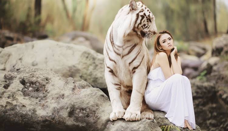 Dünyanın En Güzel 10 Dişi Hayvanı / Dikkat Aşık Olabilirsiniz