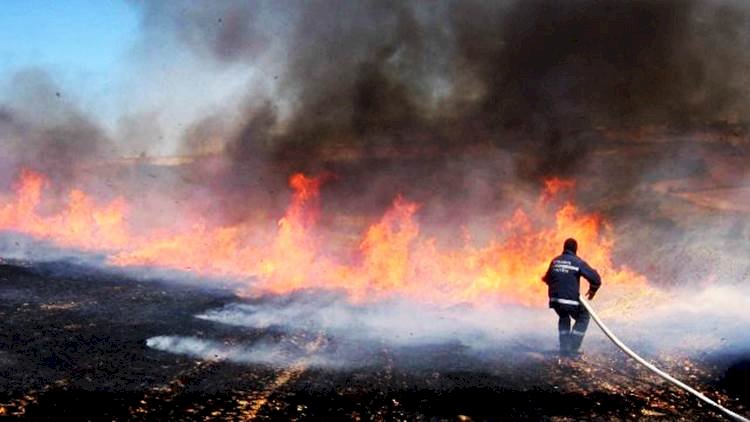Uzmanlar Uyardı; Anız Yakarak Topraktaki Canlı Popülasyonu Yok Ediliyor