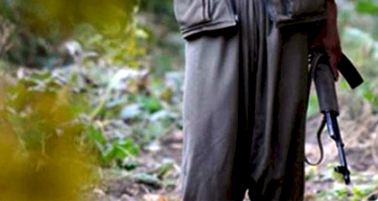 PKK'nın Gri ve Mavi Kategoride Aranan Üyeleri Yakalandı !