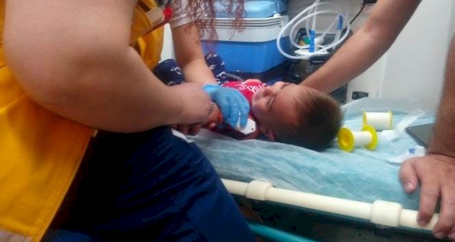 Şanlıurfa'da 4. Katta Akrebin Soktuğu Çocuk Hastanelik Oldu