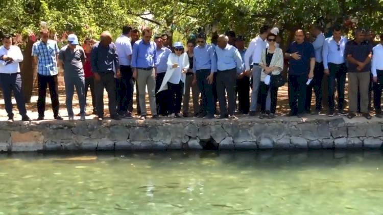 Gaziantep Balıklıgöl'ün Çakmasını Yaptı / Urfalılardan Tepki Gecikmedi