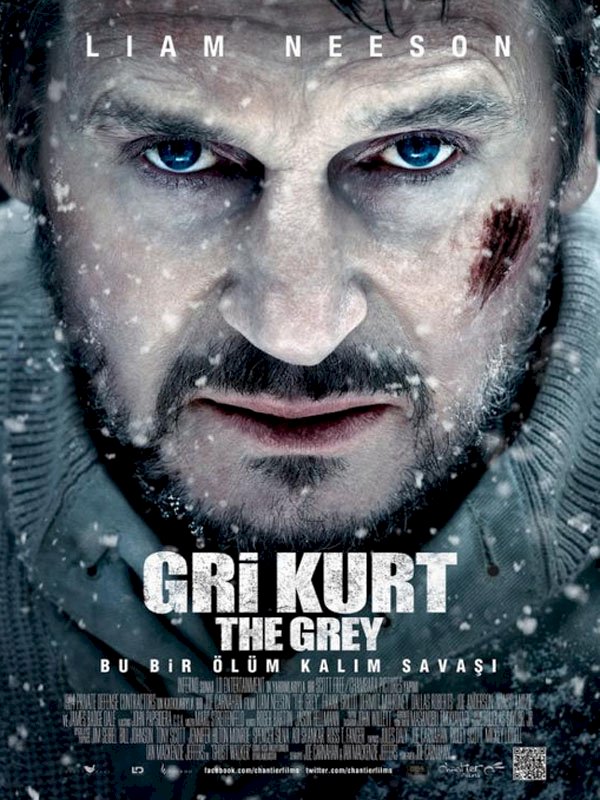 Gri Kurt / Film Fragmanı İzle