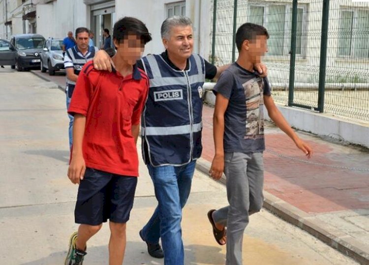 Hamile Kediyi Pitbull'un Ağzına Atan Çocuklar İfade Verdi