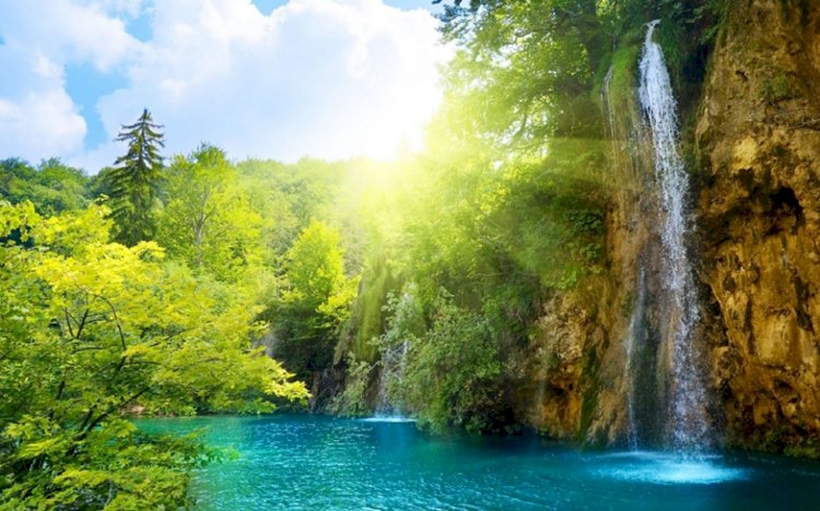 Karbon Nötr Ülke : Bhutan