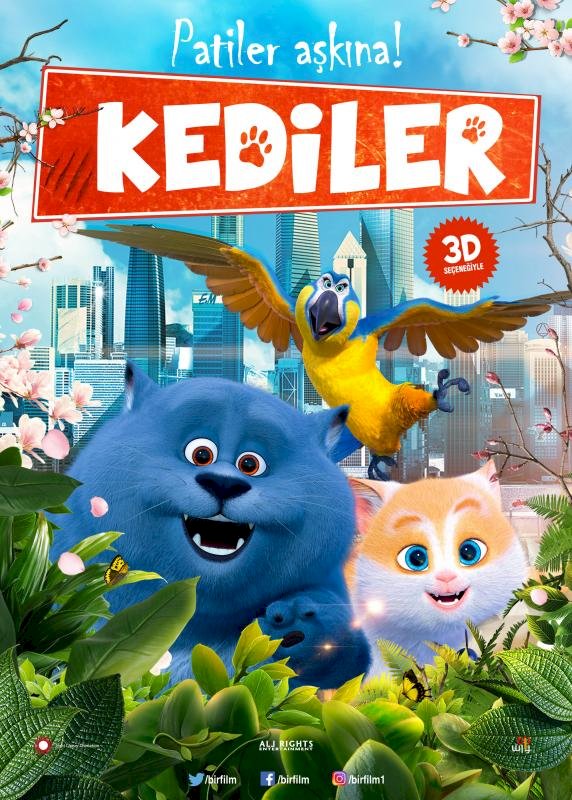 Kediler/Film Fragmanı İzle