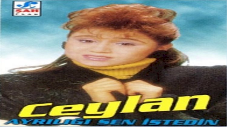 Ceylan / Ayrılığı Sen İstedin / Şarkısı Dinle