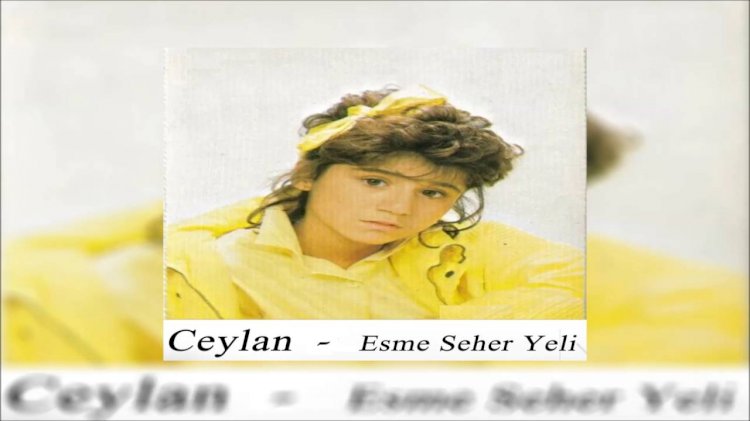 Ceylan / Yarim Ayrı Gezme / Şarkısı Dinle